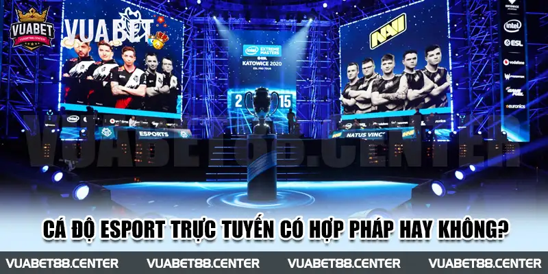 Cá độ Esport trực tuyến có hợp pháp hay không?